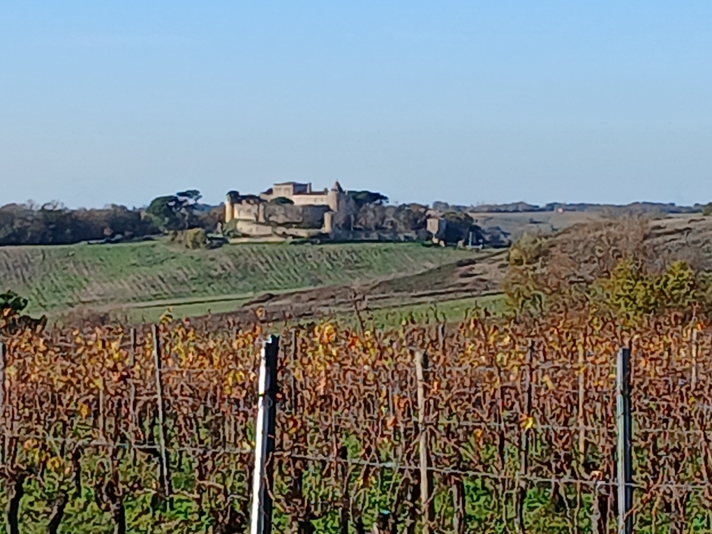 Château Haut Benauge