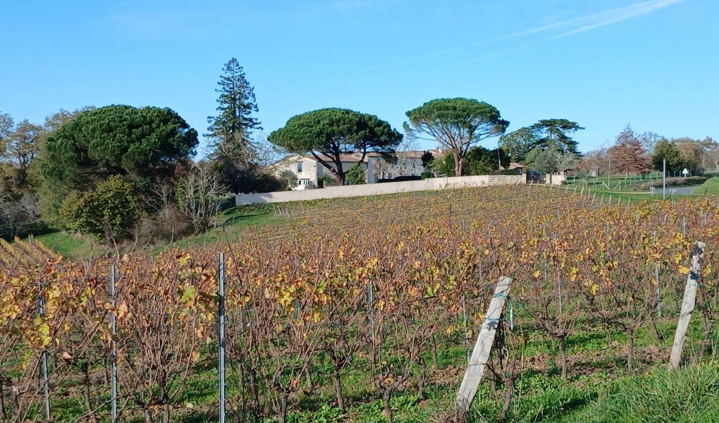 Paysage Haut Benauge