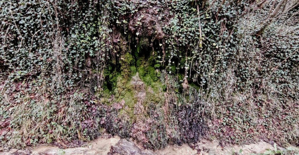 Caudrot source pétrifiante