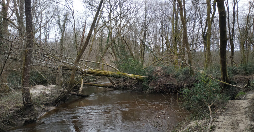 actu rando dimanche Saint-Morillon