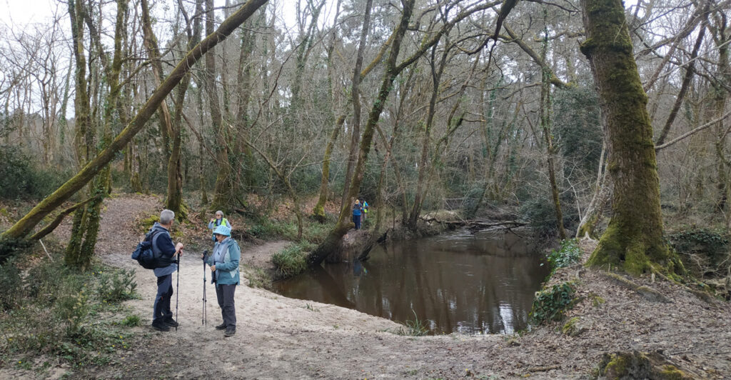 actu rando dimanche Saint-Morillon